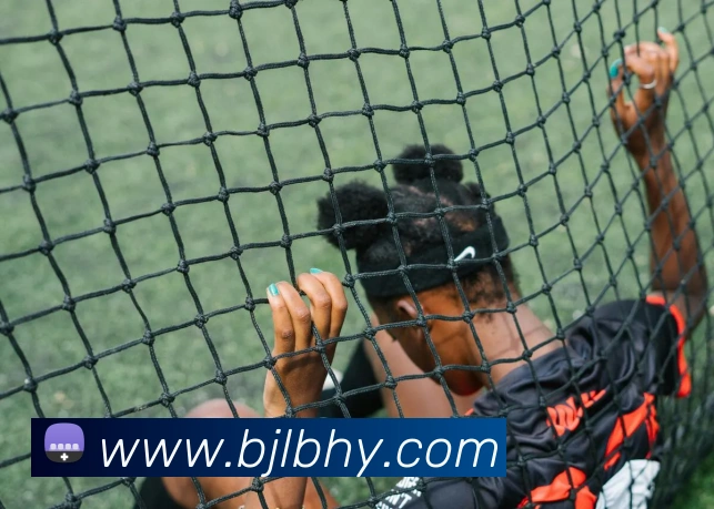 百家乐网站服务体系